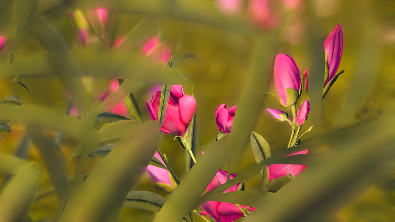 Studies on Breaking Immersion